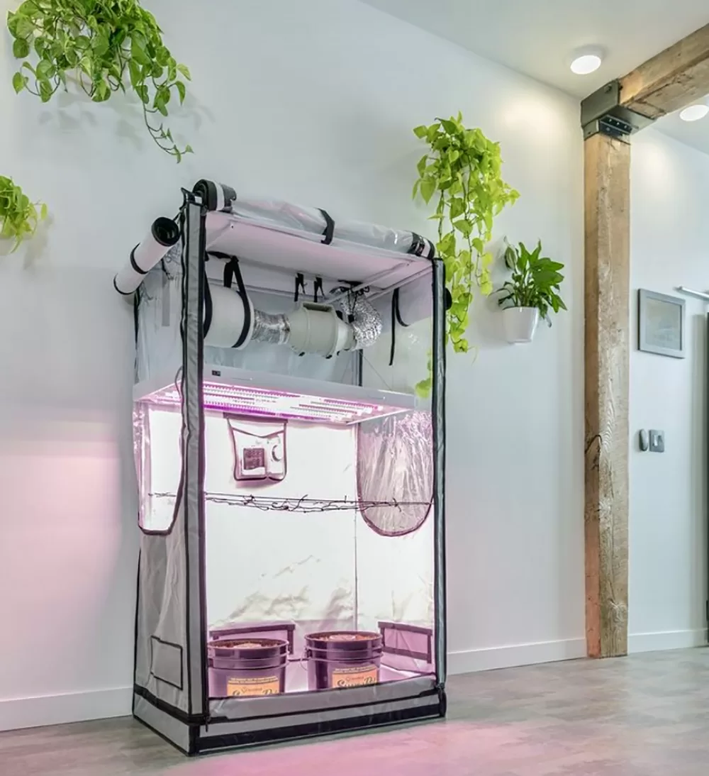 HDG Small Grow Tent inside house with growing plants